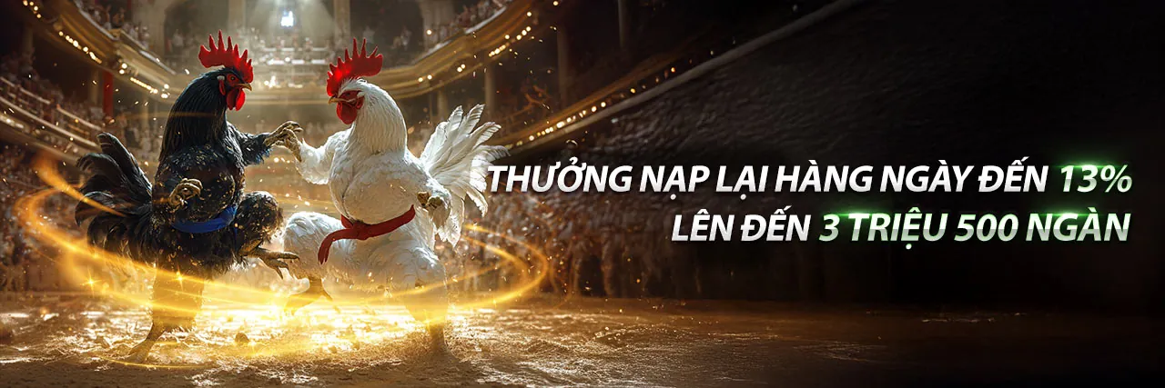 Đá gà cựa sắt 2015